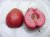 Malus domestica 'Redlane' - dwerg Malus domestica 'Redlane' C10 | Pomme chair rouge