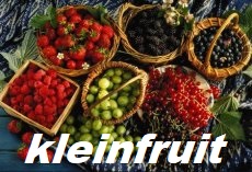 • Kleinfruit