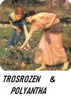 Trosrozen-Polyantha