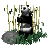 bamboe-panda