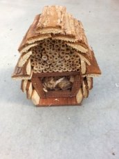 Bijen-insectenkast 11
