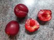 Prunus domestica 'Mirabelle Ruby'® halfstam Prunus domestica 'Mirabelle Ruby'®  HALFSTAM | Roodvlezige pruim C7