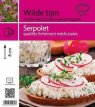 Thymus serpyllum Thymus serpyllum | Wilde tijm-Kruiptijm-Kleine tijm 10 P9